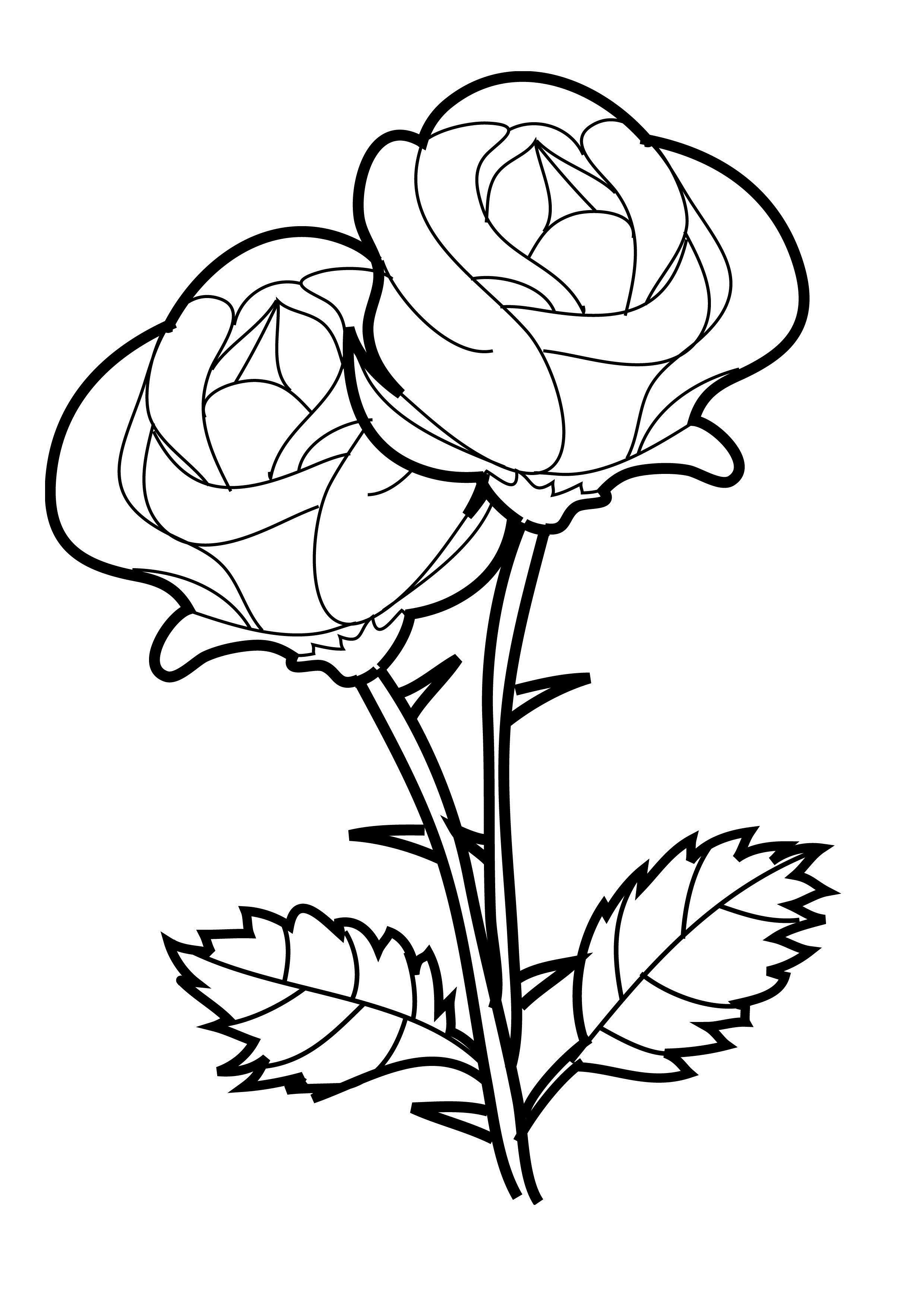 Coloring Pages Of Roses
 Free Printable Roses Coloring Pages For Kids