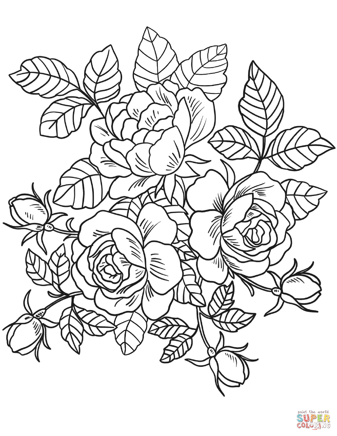 Coloring Pages Of Roses
 Roses Flowers coloring page