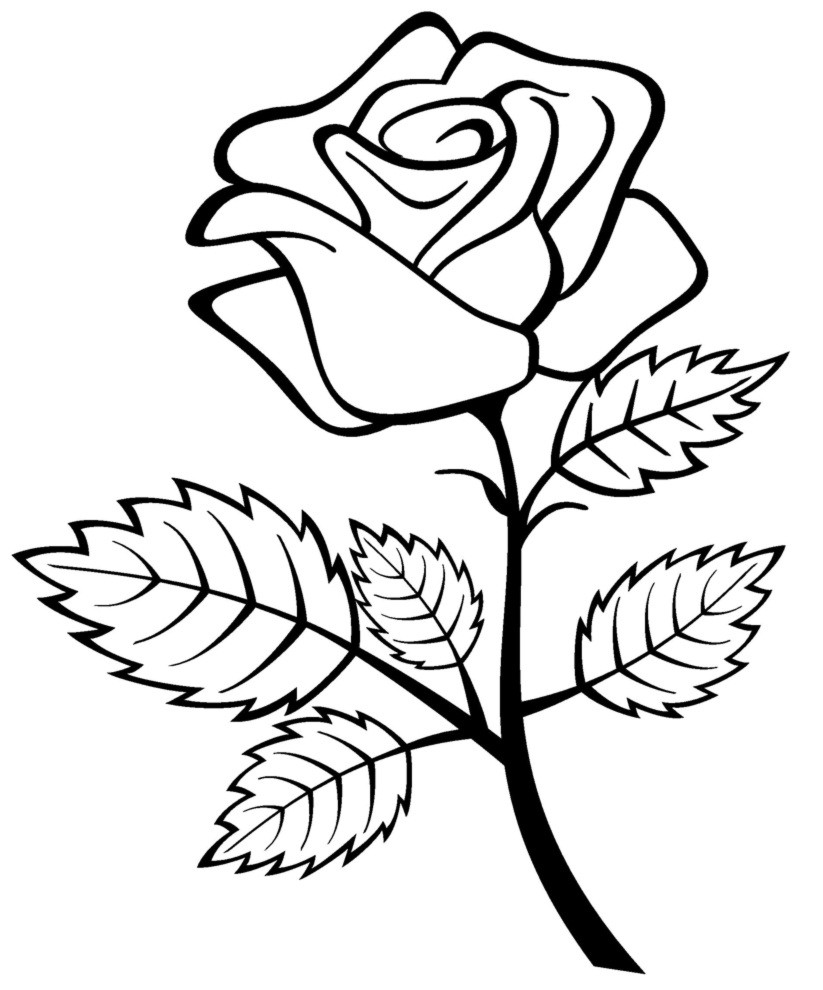 Coloring Pages Of Roses
 Free Printable Roses Coloring Pages For Kids