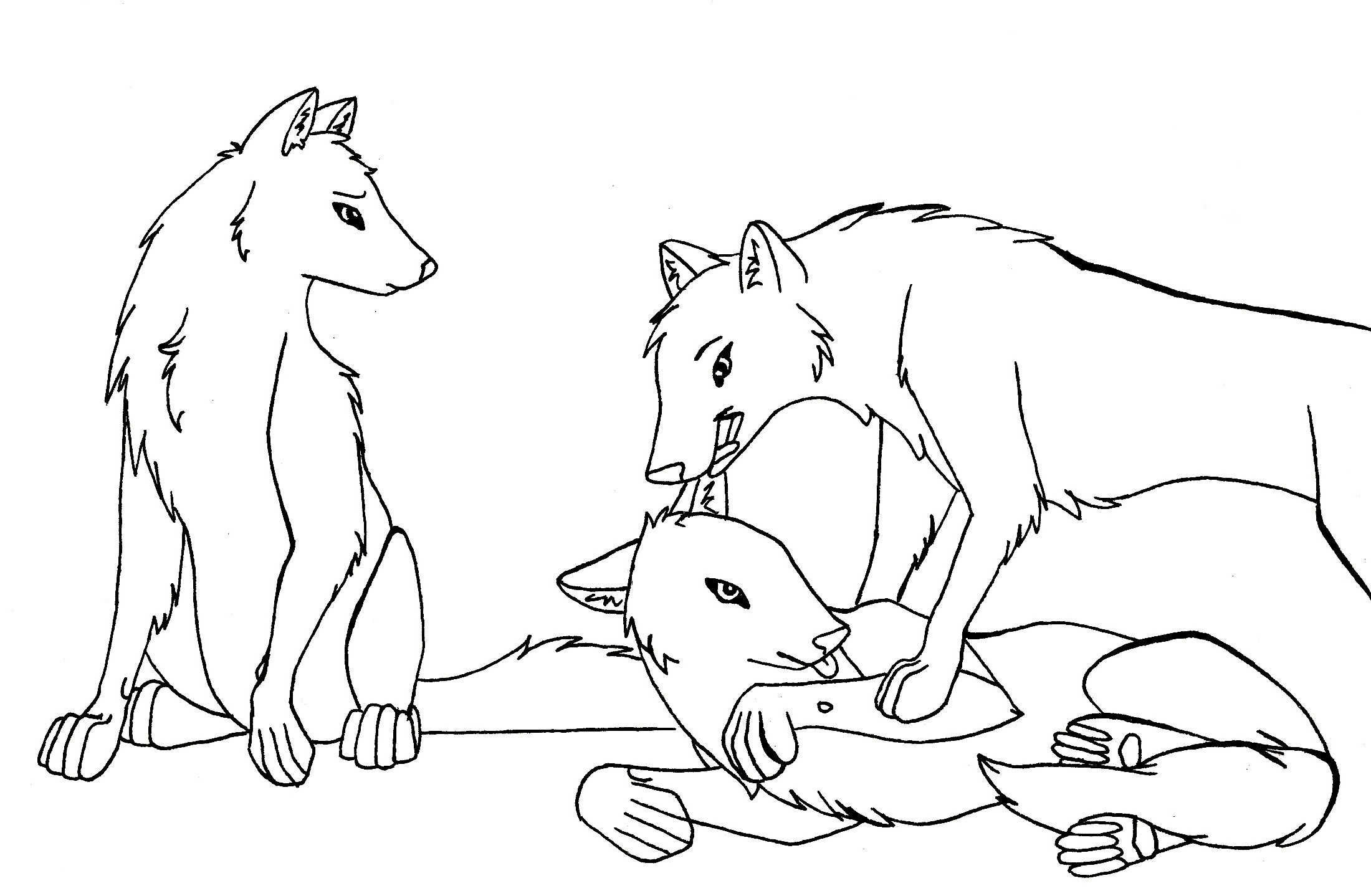Coloring Pages Of Wolves
 Free Printable Wolf Coloring Pages For Kids