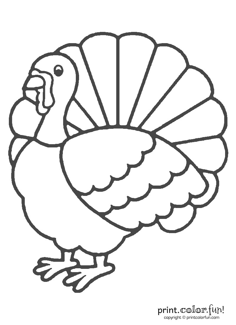 Coloring Pages Turkey
 Thanksgiving turkey coloring coloring page Print Color