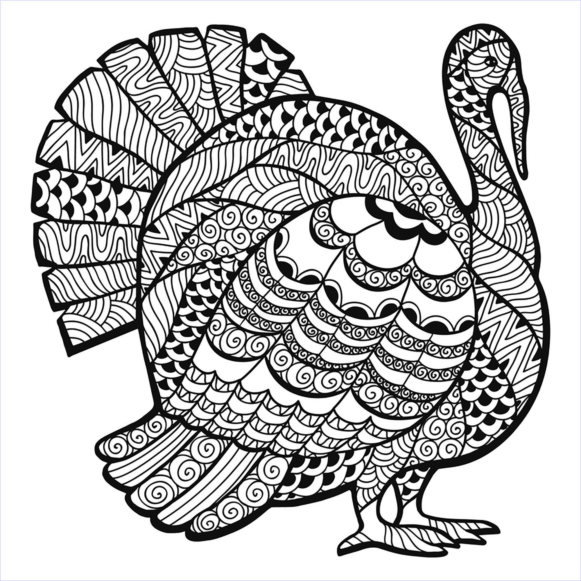 Coloring Pages Turkey
 Thanksgiving Coloring Pages For Adults to and