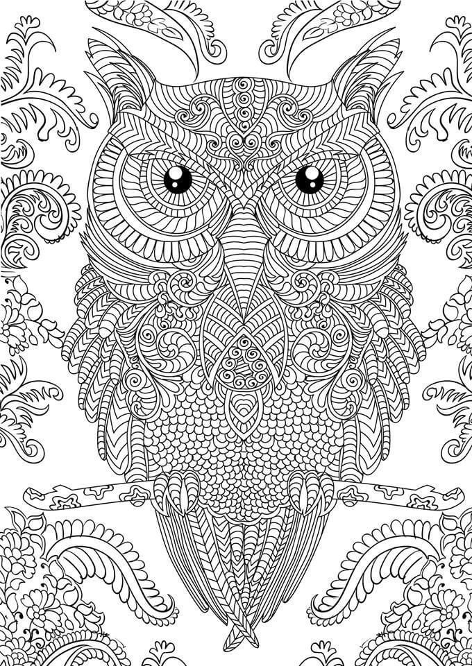 Coloring Sheets For Boys Challening
 Hard Coloring Pages