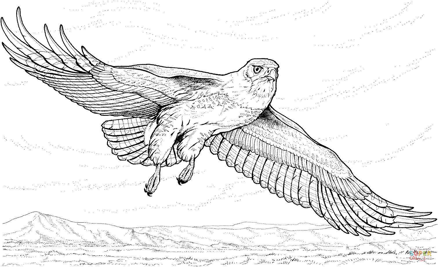 Coloring Sheets For Boys Hawk
 Flying Hawk coloring page