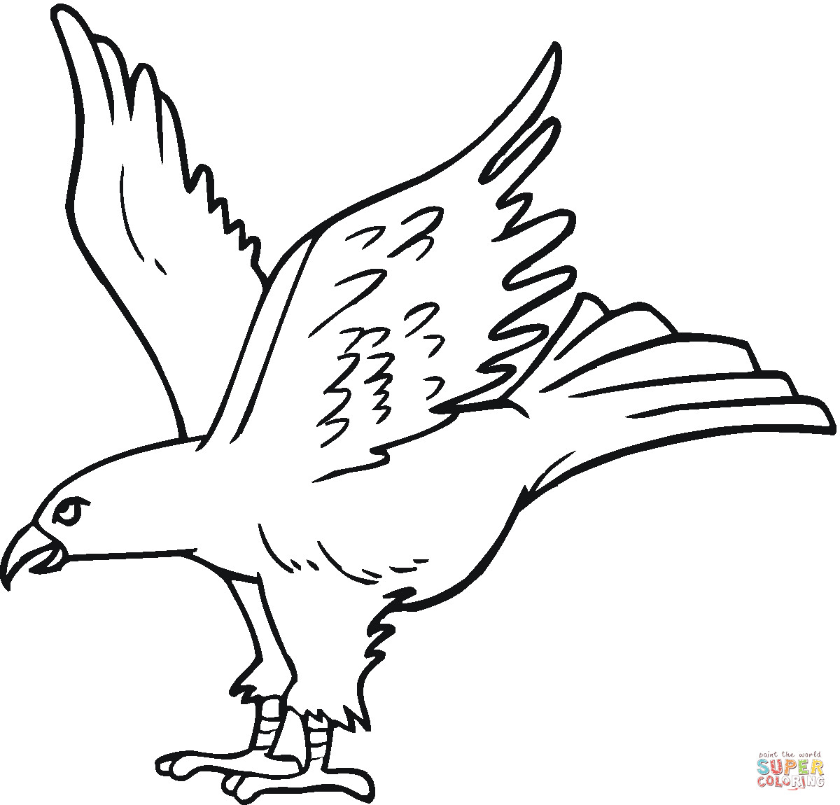 Coloring Sheets For Boys Hawk
 How To Draw A Hawk For Kids Coloring Home