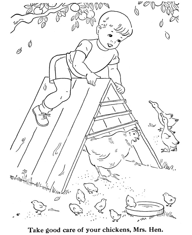 Coloring Sheets For Boys Lamber
 Coloring Pages Chickens AZ Coloring Pages