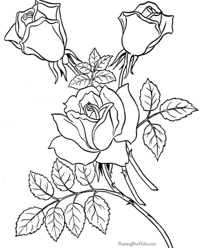 Coloring Sheets For Girls Flower With The Name Laci
 25 best ideas about Coloring Pages Flowers on