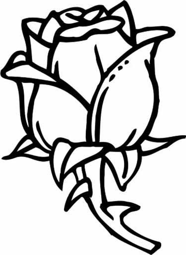 Coloring Sheets For Girls Rose
 More Roses Coloring Pages