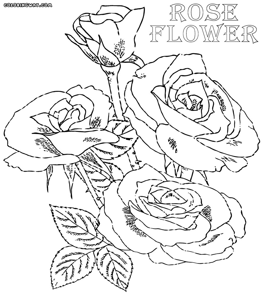 Coloring Sheets For Girls Rose
 Rose coloring pages