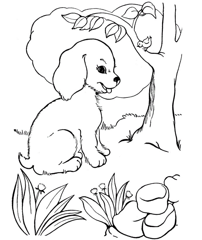 Coloring Sheets For Kids Of Dogs
 Free Printable Dog Coloring Pages For Kids