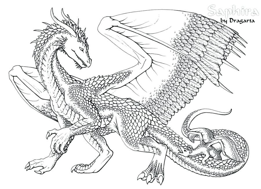 Complicated Dragon Coloring Pages For Boys
 Free Printable Coloring Pages Dragons plex