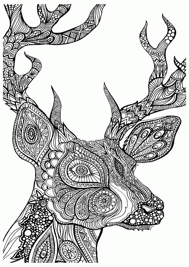 Cool Animal Coloring Pages
 Detailed Animal Coloring Pages For Adults Coloring Home