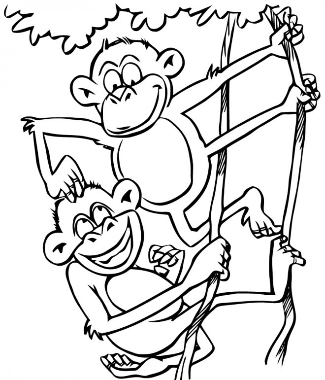 Cool Coloring Sheets For Kids (Monkey)
 Coloriage Deux singes jouent dessin gratuit à imprimer