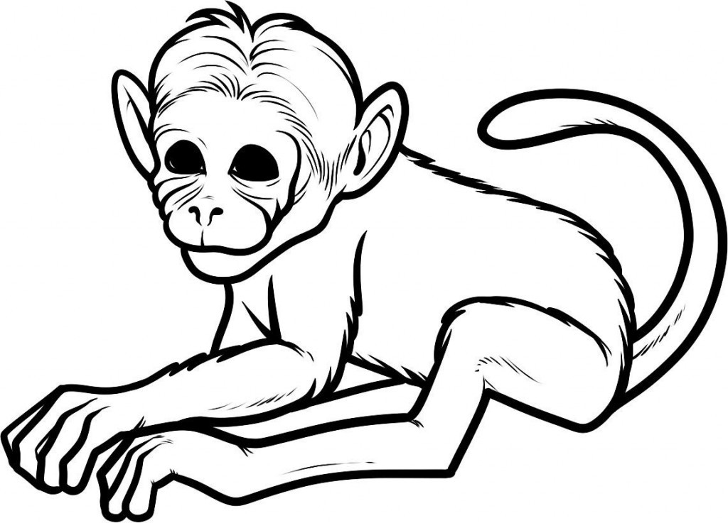 Cool Coloring Sheets For Kids (Monkey)
 Free Printable Monkey Coloring Pages For Kids