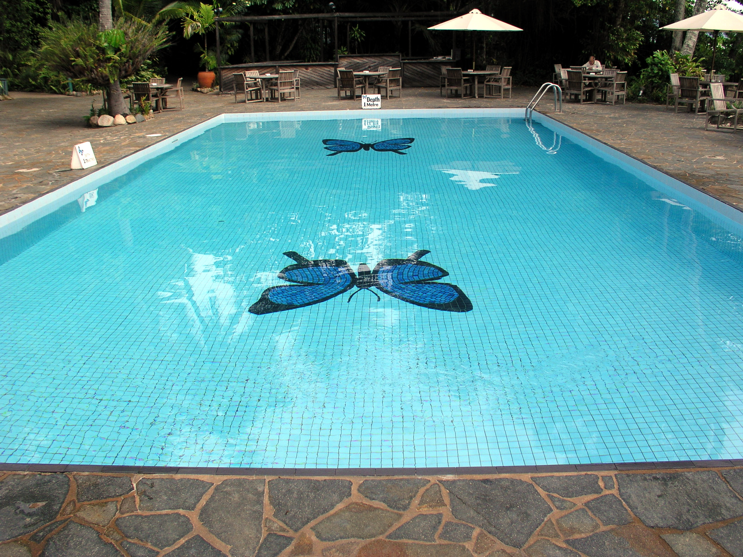 Best ideas about Cost Of An Inground Pool
. Save or Pin Cheapest Inground Pool Kits Now.