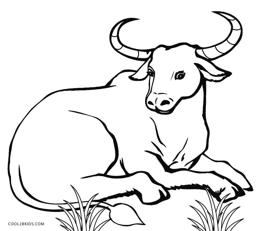 Cow Coloring Pages
 Free Printable Cow Coloring Pages For Kids