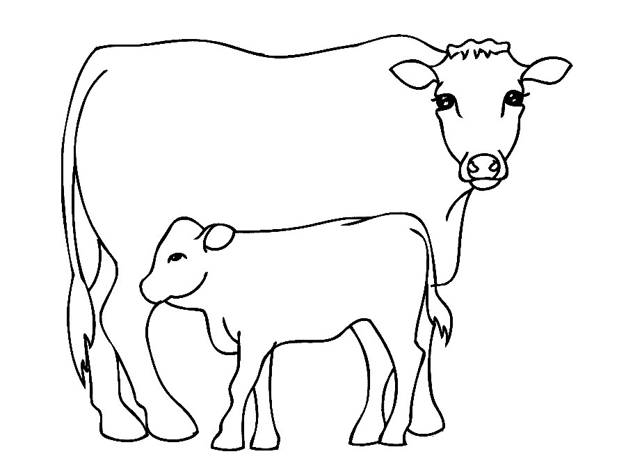 Cow Coloring Pages
 Free Printable Cow Coloring Pages For Kids