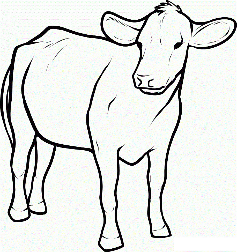 Cow Coloring Pages
 Free Printable Cow Coloring Pages For Kids