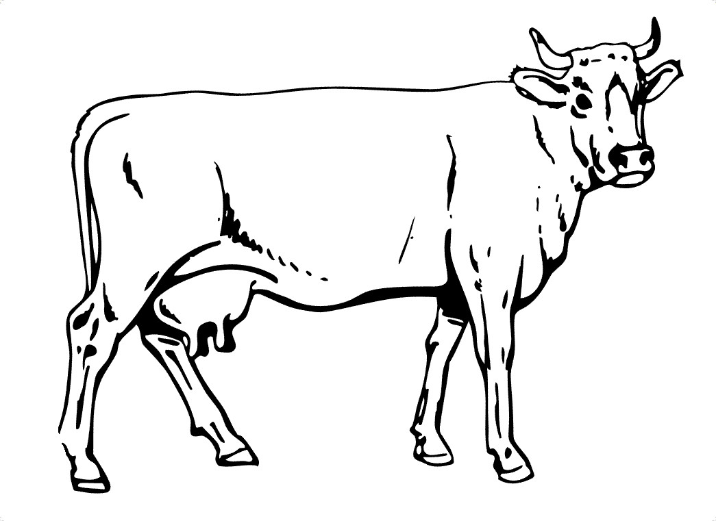 Cow Coloring Pages
 Free Printable Cow Coloring Pages For Kids