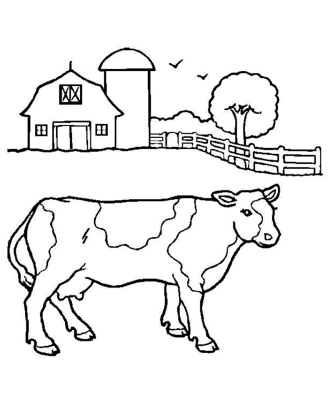 Cow Coloring Pages
 Free Printable Cow Coloring Pages For Kids