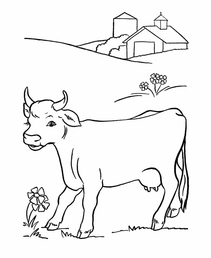 Cow Coloring Pages
 Free Printable Cow Coloring Pages For Kids