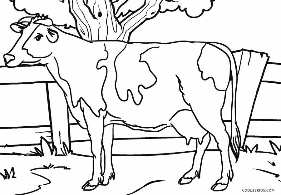 Cow Coloring Pages
 Free Printable Cow Coloring Pages For Kids