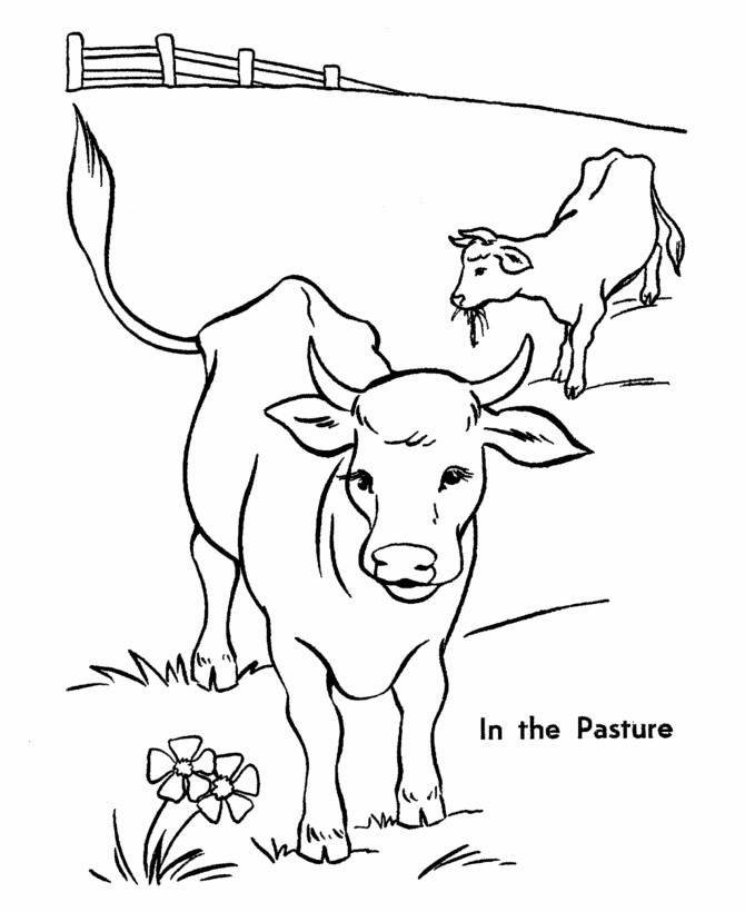 Cow Coloring Pages
 Free Printable Cow Coloring Pages For Kids