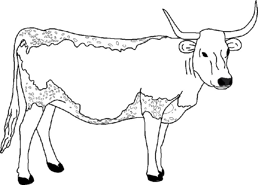 Cow Coloring Pages
 Free Printable Cow Coloring Pages For Kids