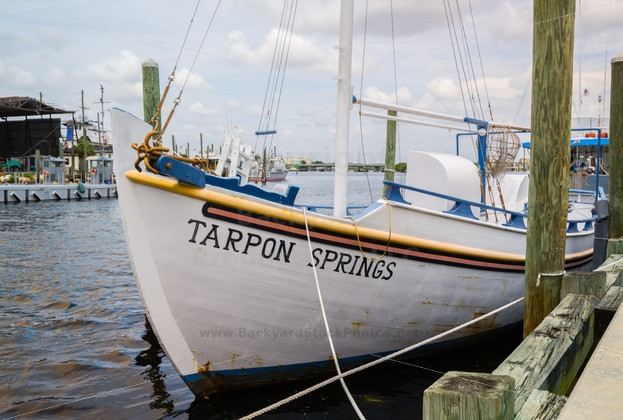 Best ideas about Cruise Ship In Backyard
. Save or Pin Tourist cruise ship in Tarpon Springs Now.