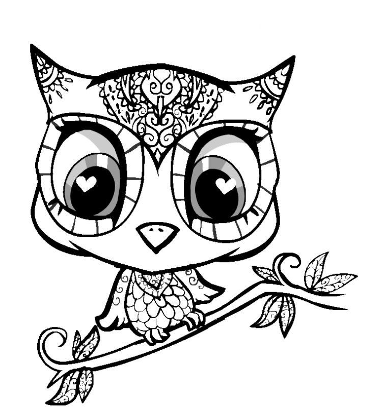 Cute Animal Coloring Book Pages
 Cute Coloring Pages Animals Coloring Home