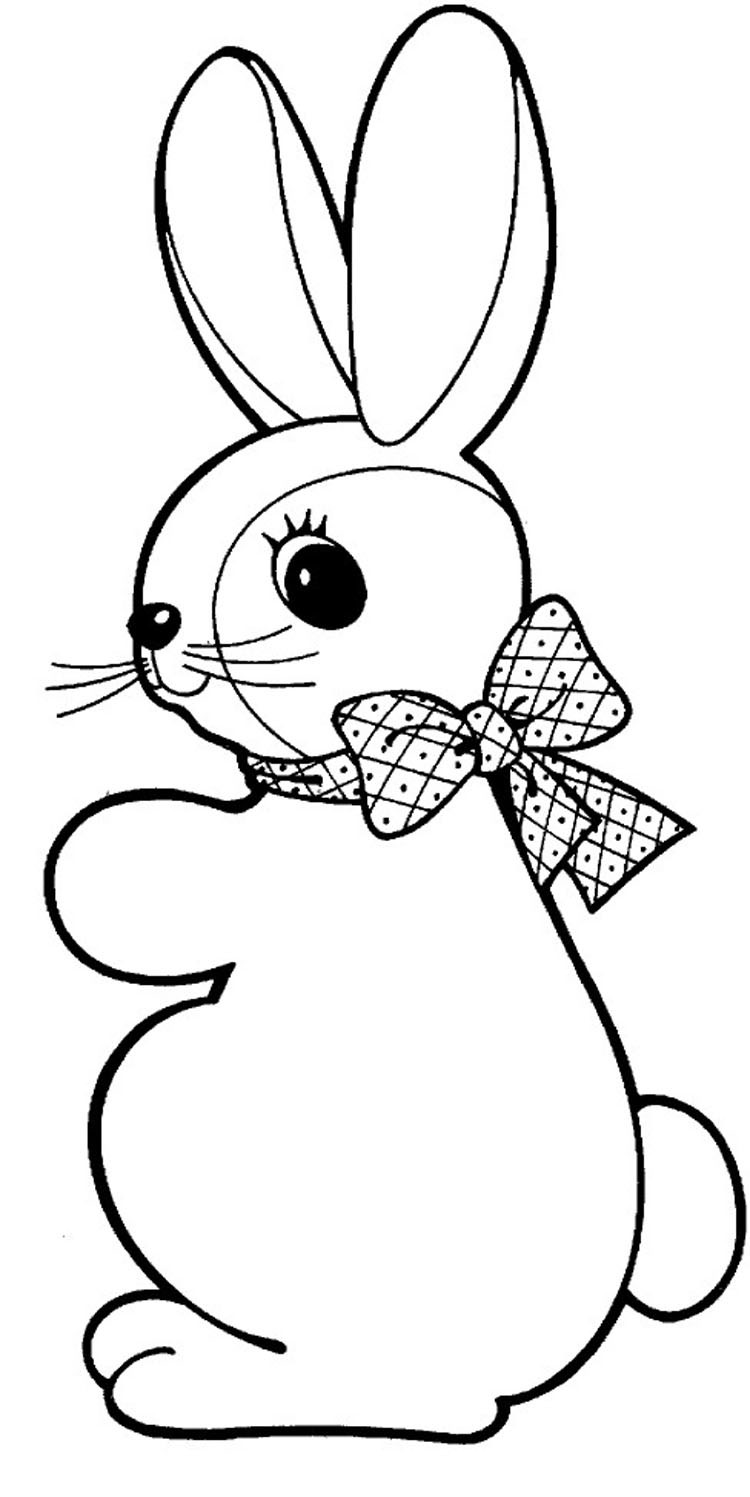 Cute Animal Coloring Pages For Girls
 76 Best of Cute Animal Coloring Pages Bestofcoloring