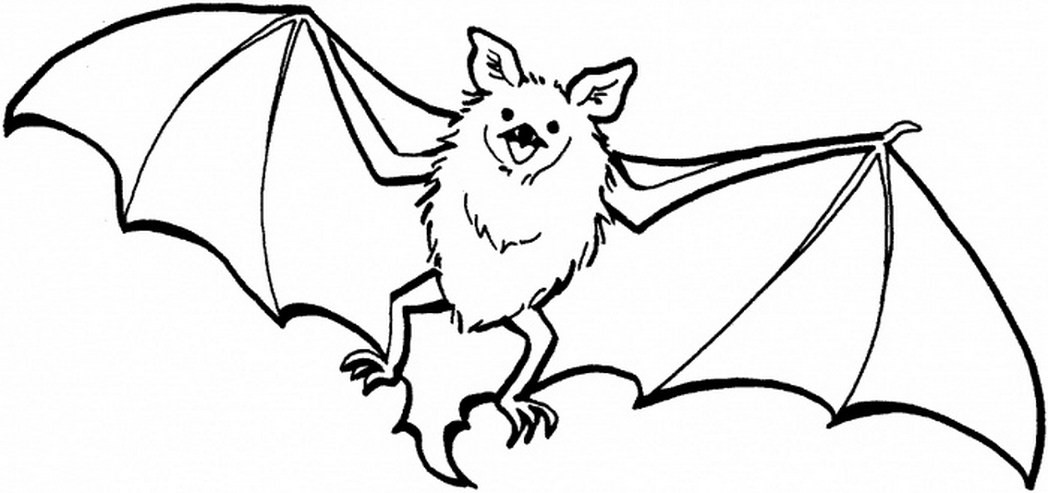 Cute Bat Coloring Pages
 cute bat coloring page super Coloring Pages for