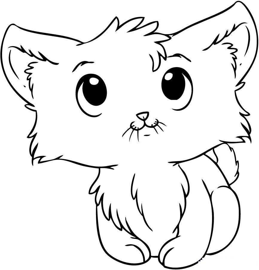 Cute Free Coloring Pages
 Kitten Coloring Pages Best Coloring Pages For Kids