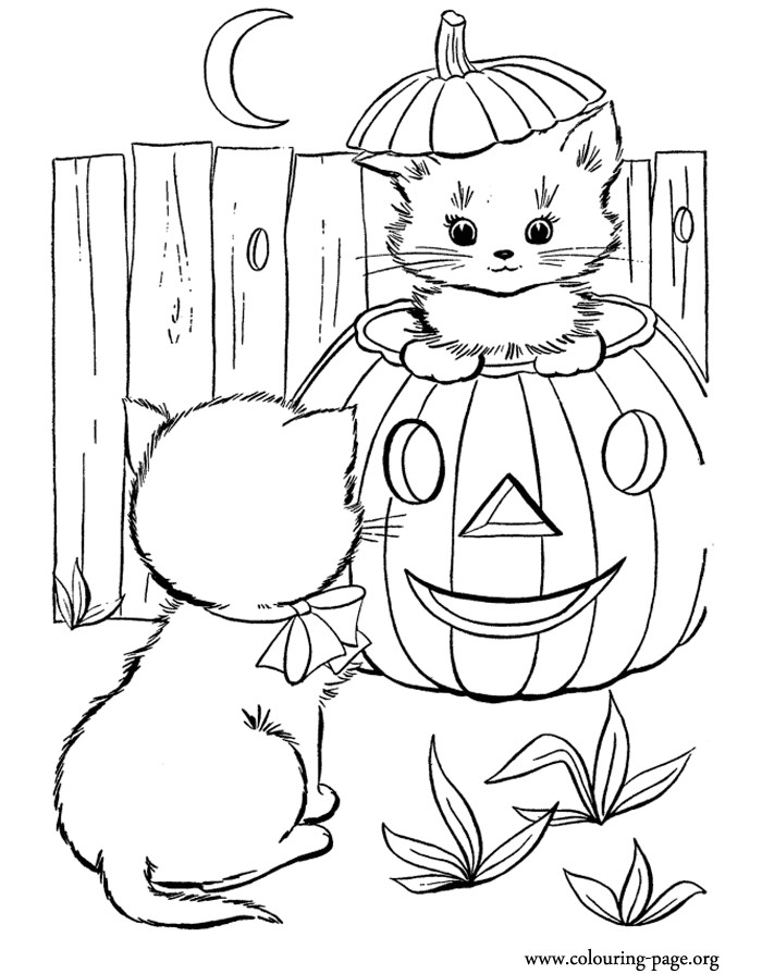 Cute Halloween Coloring Pages For Kids
 Halloween Halloween pumpkin and two cute kittens