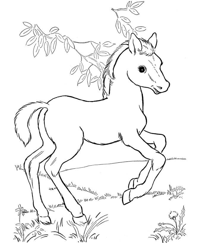 Cute Horse Coloring Pages
 Free Printable Horse Coloring Pages For Kids