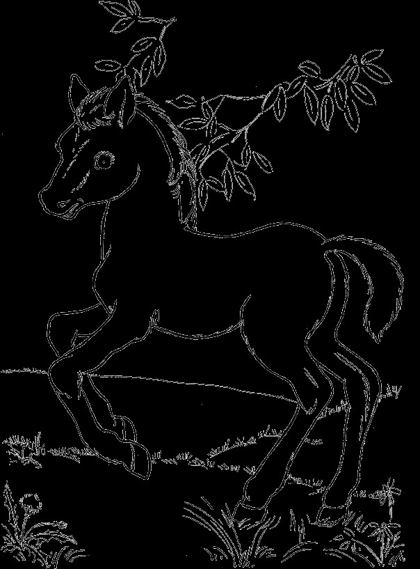Cute Horse Coloring Pages
 Horse Coloring Pages Bestofcoloring