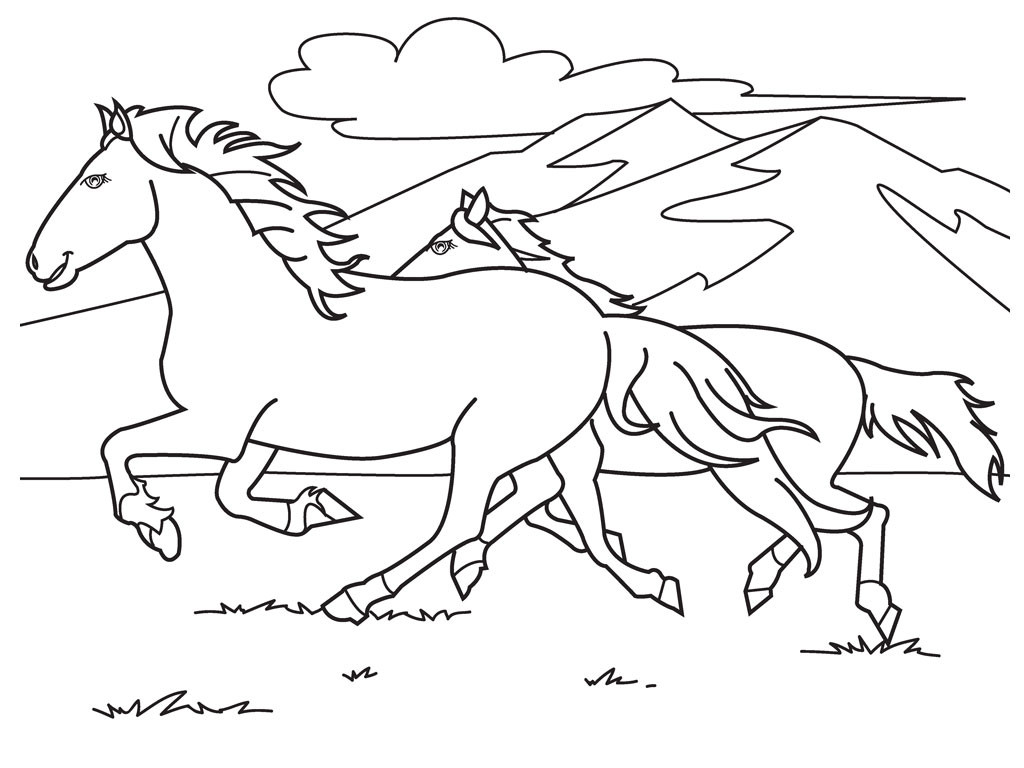 Cute Horse Coloring Pages
 cute baby horse coloring pages