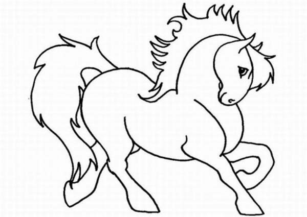 Cute Horse Coloring Pages
 Cute Horse Cartoon in Horses Coloring Page Cute Horse