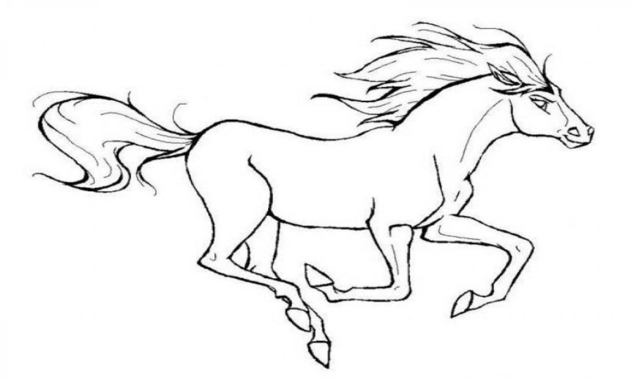 Cute Horse Coloring Pages
 Horse Coloring Pages Cute grig3