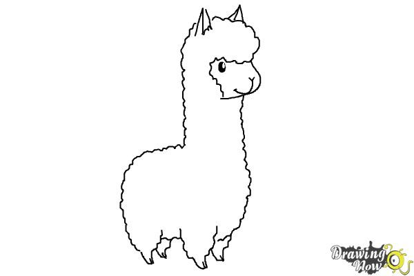 Cute Llama Coloring Pages
 How to Draw a Llama For Kids