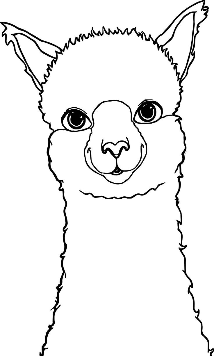 Cute Llama Coloring Pages
 Cute Alpaca Coloring Page Free Printable Pages Sketch