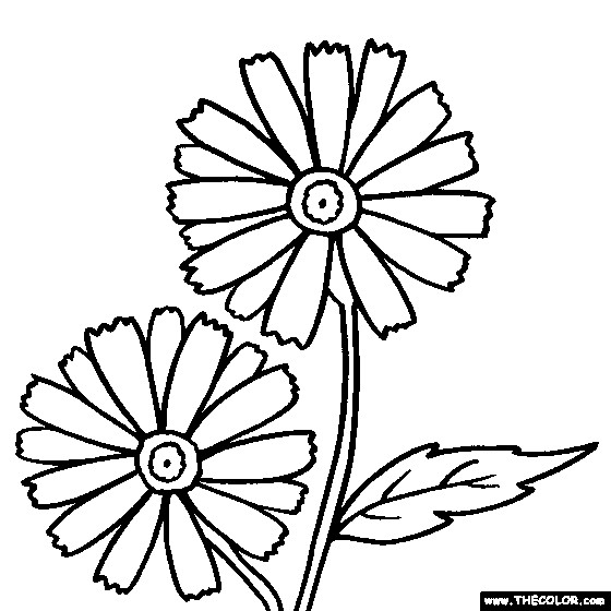 Daisy Coloring Pages
 Daisy Flower Coloring Page Flower Coloring Page
