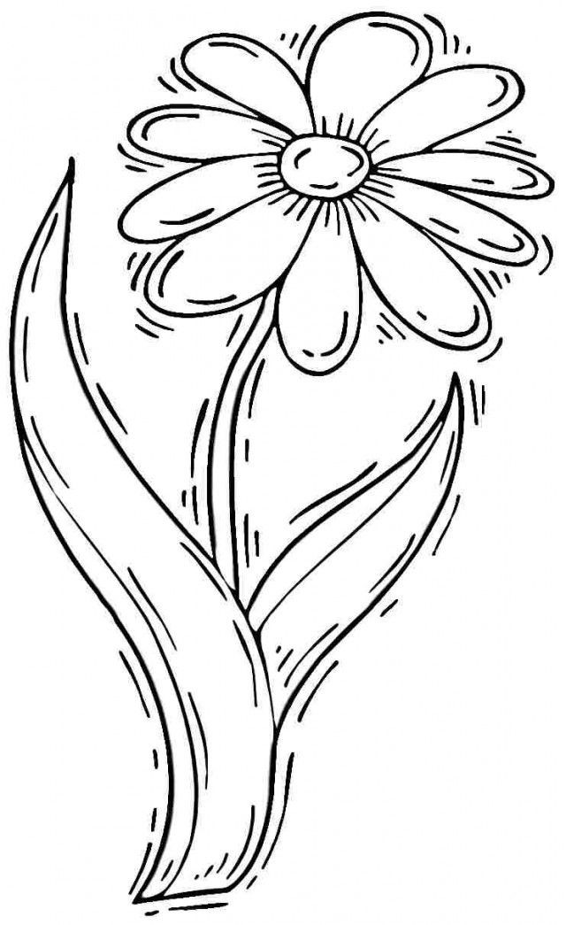Daisy Flower Coloring Pages
 Daisy Flower Coloring Pages Coloring Home
