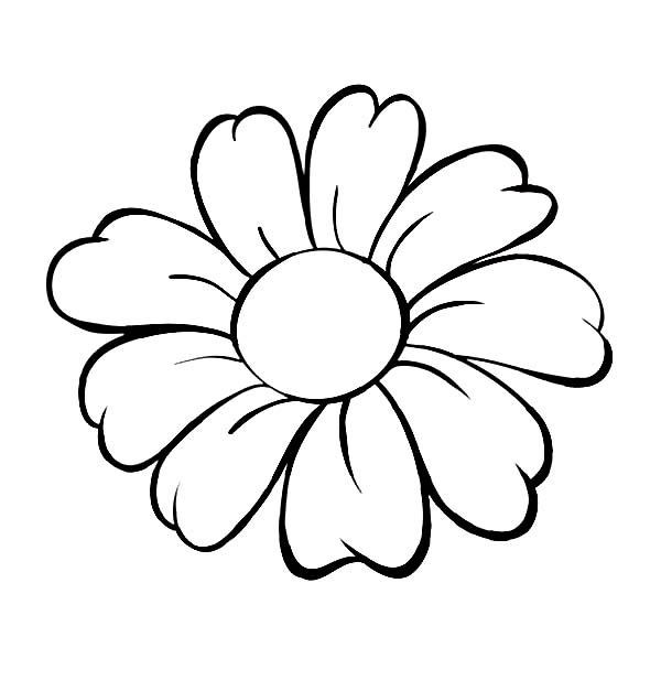 Daisy Flower Coloring Pages
 Daisy Flower Daisy Flower Outline Coloring Page