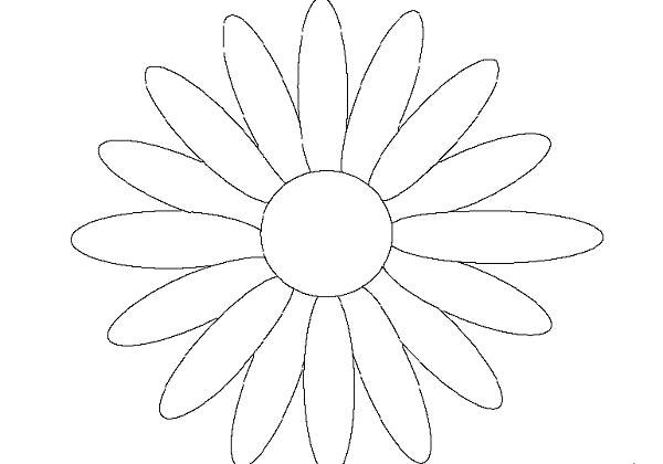 Daisy Flower Coloring Pages
 Daisy Flower Color – savingourboysfo