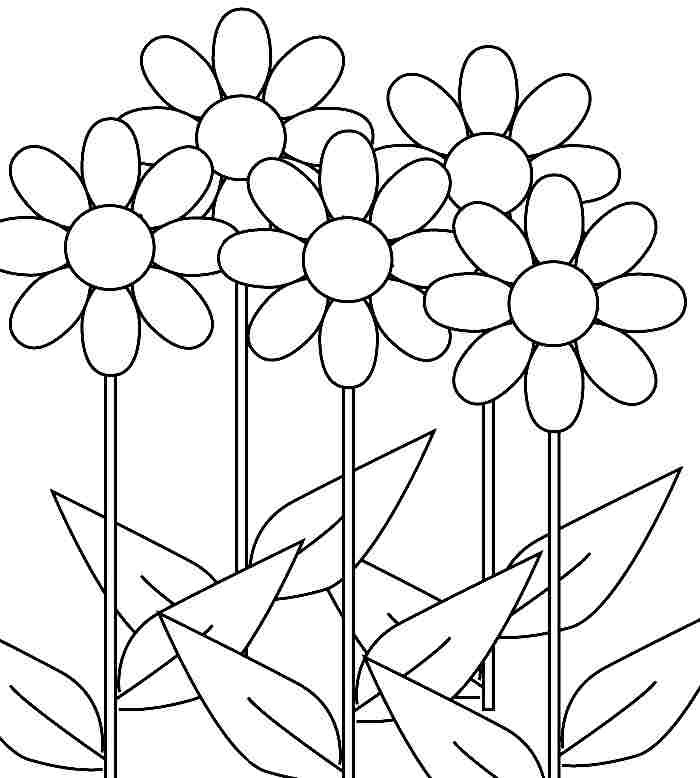Daisy Flower Coloring Pages
 Daisy Flower Coloring Page AZ Coloring Pages