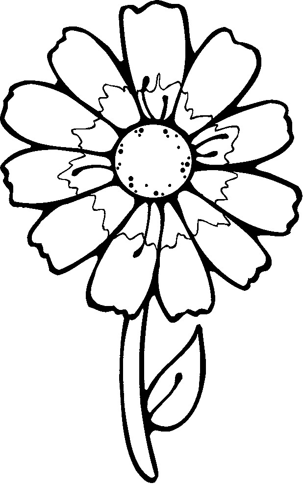 Daisy Flower Coloring Pages
 Daisy Flower Coloring Pages Coloring Home