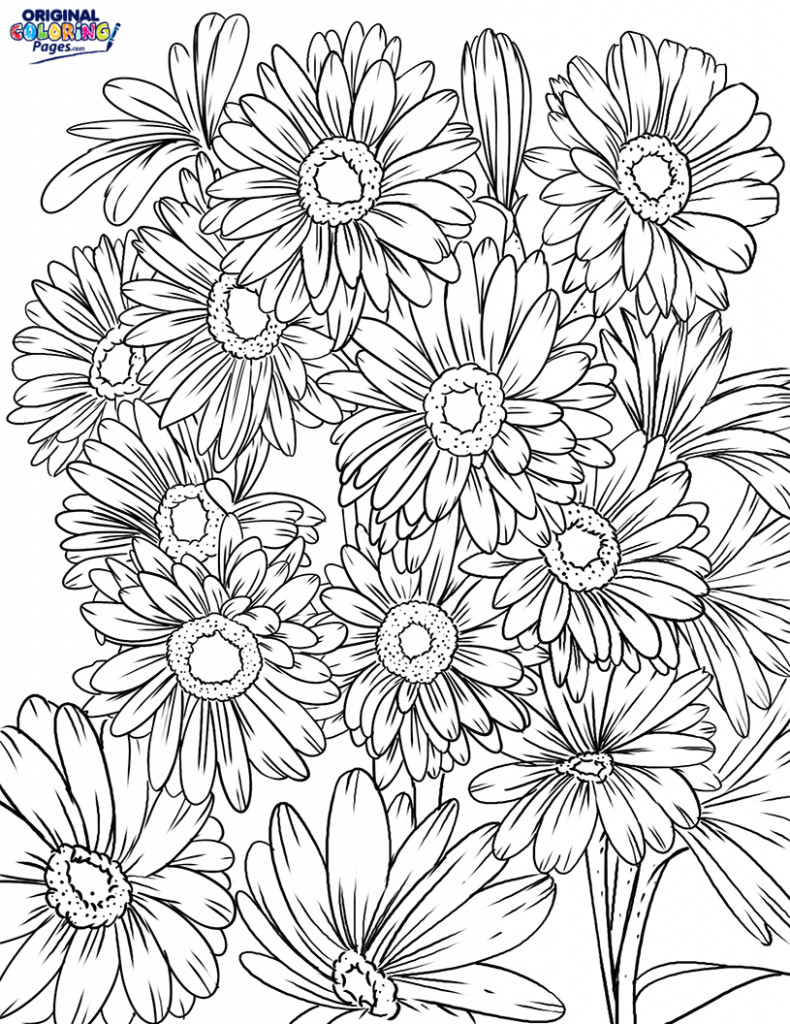 Daisy Flower Coloring Pages
 Daisy Flowers Coloring Page – Coloring Pages – Original