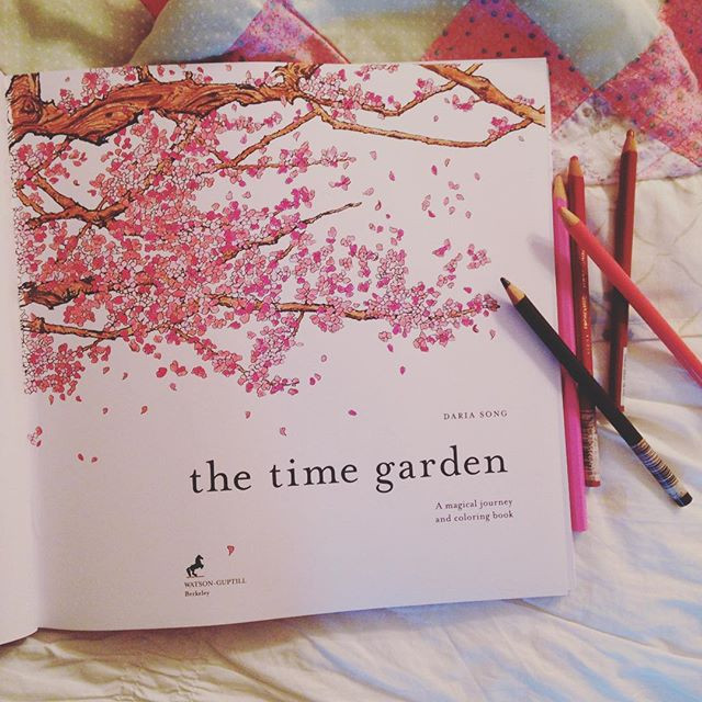 Daria Song Coloring Books
 Adult Coloring Books The Time Garden