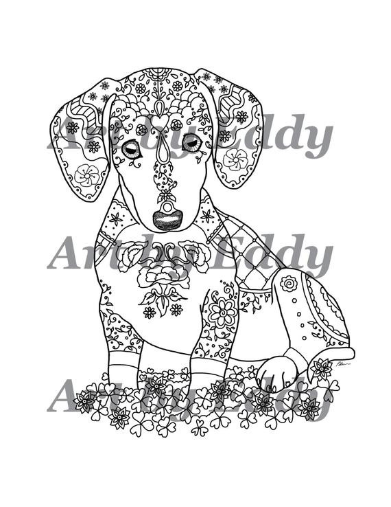 Daschund Coloring Book
 Art of Dachshund Single Coloring Page